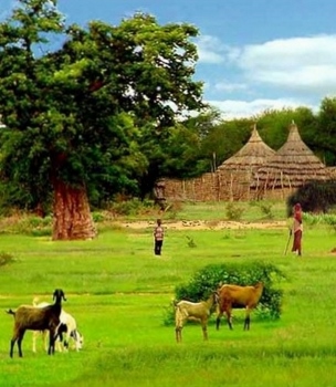 NUBAMOUNTAINSsudan435x500sudansudan304x350sudan.jpg Hosting at Sudaneseonline.com