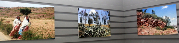 OMRI0724.JPG Hosting at Sudaneseonline.com