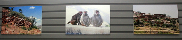 OMRI0725.JPG Hosting at Sudaneseonline.com