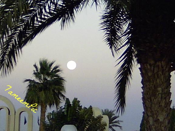 PICT0157.jpg Hosting at Sudaneseonline.com