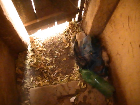 PIC_1054.JPG Hosting at Sudaneseonline.com