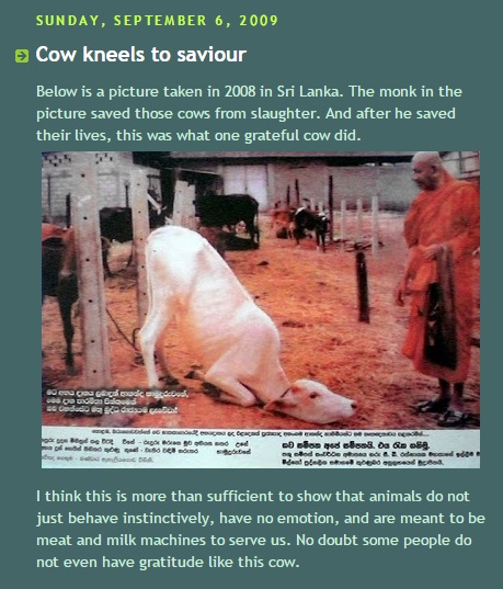 ccccc.jpg Hosting at Sudaneseonline.com