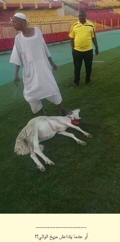 fajakh.JPG Hosting at Sudaneseonline.com