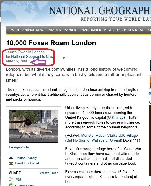 foxes.jpg Hosting at Sudaneseonline.com