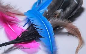 images.jpg Hosting at Sudaneseonline.com