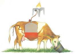 images23.jpg Hosting at Sudaneseonline.com