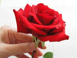 images4.jpg Hosting at Sudaneseonline.com