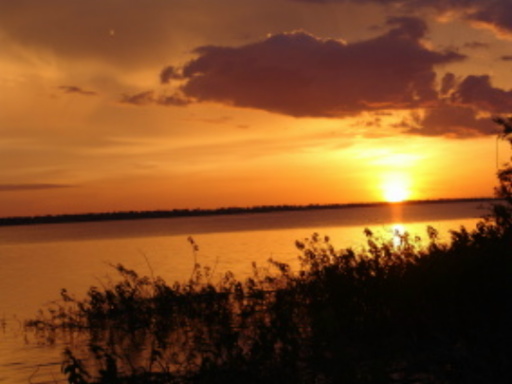 rahad11.JPG Hosting at Sudaneseonline.com