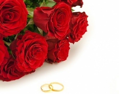 rose_wedding_ring_flower_hd_wallpaper_desktop.jpg Hosting at Sudaneseonline.com