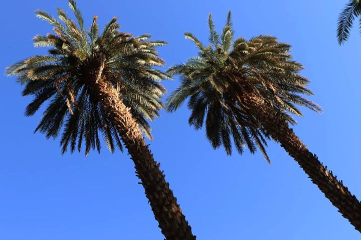 sudansudansudansudan11.jpg Hosting at Sudaneseonline.com