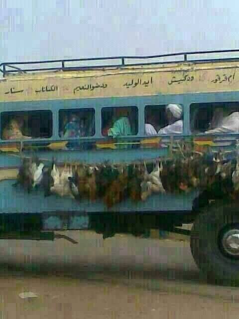 sudansudansudansudansudansudansudansudansudansudansudan13.jpg Hosting at Sudaneseonline.com