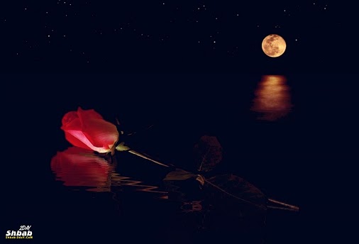 sudansudansudansudansudansudansudansudansudansudansudan2.jpg Hosting at Sudaneseonline.com