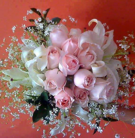 sudansudansudansudansudansudansudansudansudansudansudansudansudansudansudan.jpg Hosting at Sudaneseonline.com