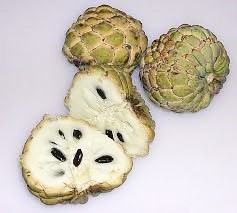 sugarapple.jpg Hosting at Sudaneseonline.com
