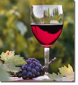wine-tours.jpg Hosting at Sudaneseonline.com