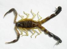 109978.jpg Hosting at Sudaneseonline.com