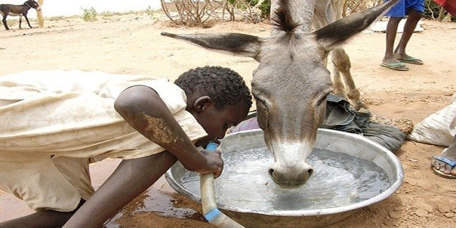 11011465_424988897685236_81965271403351728_n.jpg Hosting at Sudaneseonline.com