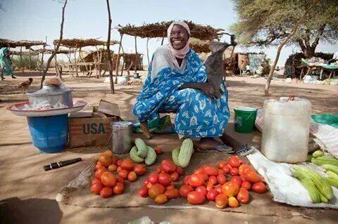 11056832_1550252075234990_1782310990_n.jpg Hosting at Sudaneseonline.com