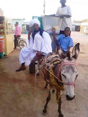 11110476_818458968232646_5843500670887601407_n.jpg Hosting at Sudaneseonline.com