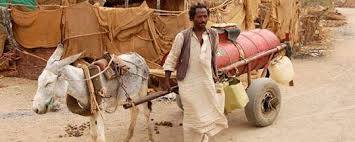 11214163_424988794351913_134947616745263159_n.jpg Hosting at Sudaneseonline.com