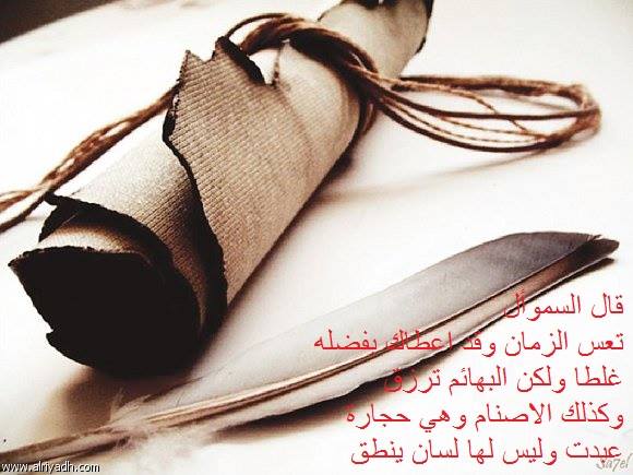 11403094_424678304382962_7515999144638846109_n.jpg Hosting at Sudaneseonline.com