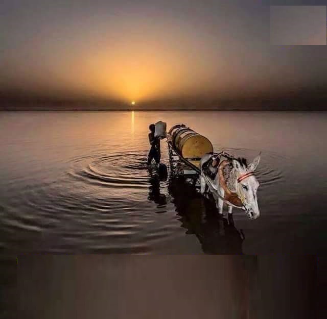 11693988_396904823828664_76432156576937942_n1.jpg Hosting at Sudaneseonline.com