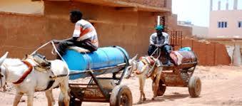 11695883_424988847685241_676413464274382531_n.jpg Hosting at Sudaneseonline.com