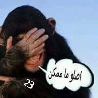 11702705_1015420185149157_200362418460422339_n.jpg Hosting at Sudaneseonline.com