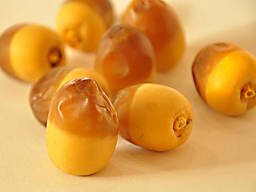 11709562_943958589000708_5403385312384970691_n.jpg Hosting at Sudaneseonline.com