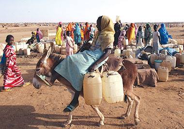 11737934_424986071018852_536548132084139802_n.jpg Hosting at Sudaneseonline.com