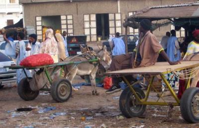 11753687_424985991018860_8197549403072887601_n.jpg Hosting at Sudaneseonline.com