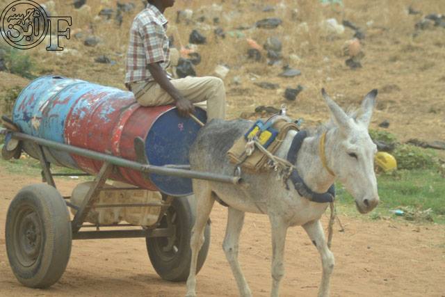 11753687_424986067685519_6366459603637060874_n.jpg Hosting at Sudaneseonline.com