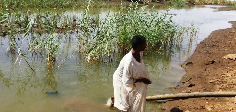 11889575_432431793607613_8804683451553529992_n.jpg Hosting at Sudaneseonline.com