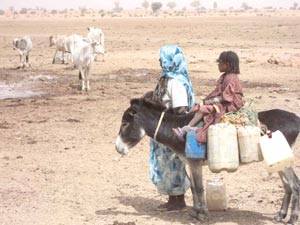 1512861_424988791018580_6597918140171863357_n.jpg Hosting at Sudaneseonline.com