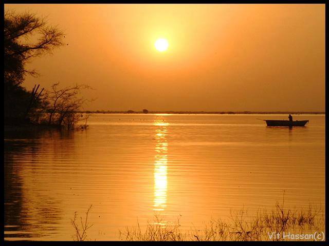 1662713_845307805509044_1437742982415049495_n.jpg Hosting at Sudaneseonline.com