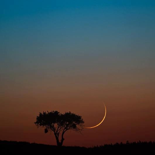 179529_448878188477454_33259511_n.jpg Hosting at Sudaneseonline.com