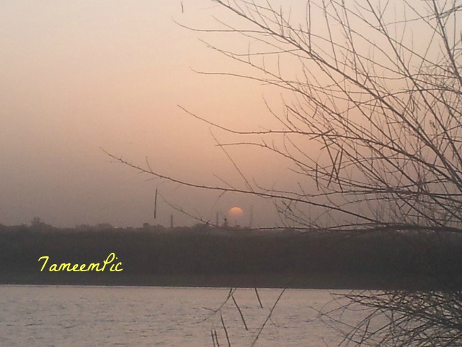 20150301_071249.jpg Hosting at Sudaneseonline.com