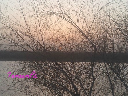 20150301_071311.jpg Hosting at Sudaneseonline.com