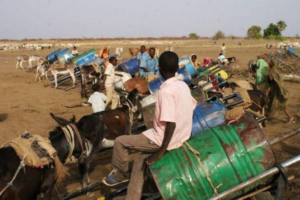 235.jpg Hosting at Sudaneseonline.com