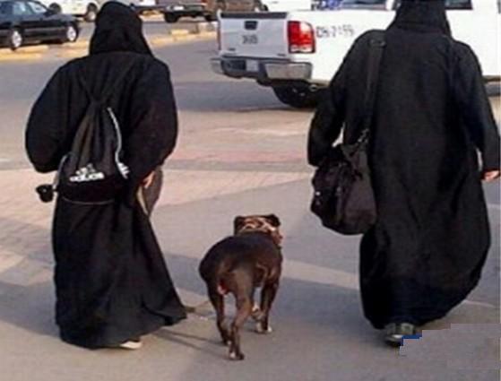 253093662.jpg Hosting at Sudaneseonline.com