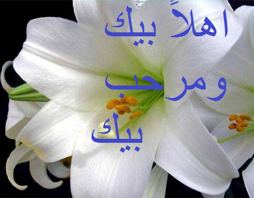 69036813531.jpg Hosting at Sudaneseonline.com