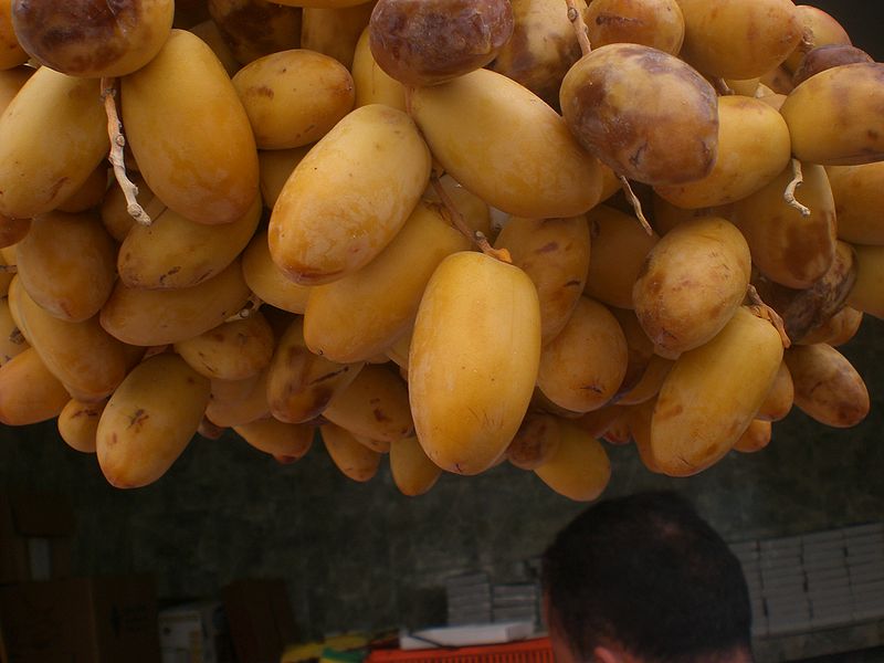 800px-Dattes_arichti.JPG Hosting at Sudaneseonline.com