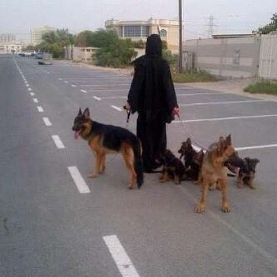 843827773.jpg Hosting at Sudaneseonline.com