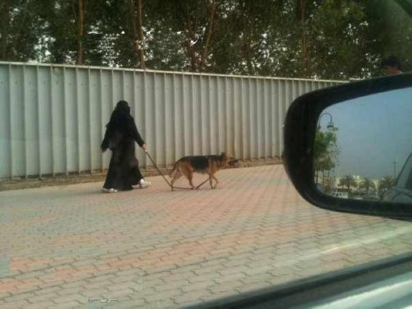 914558946.jpg Hosting at Sudaneseonline.com