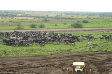 DSC12.jpg Hosting at Sudaneseonline.com