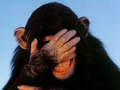 Monkey.jpg Hosting at Sudaneseonline.com