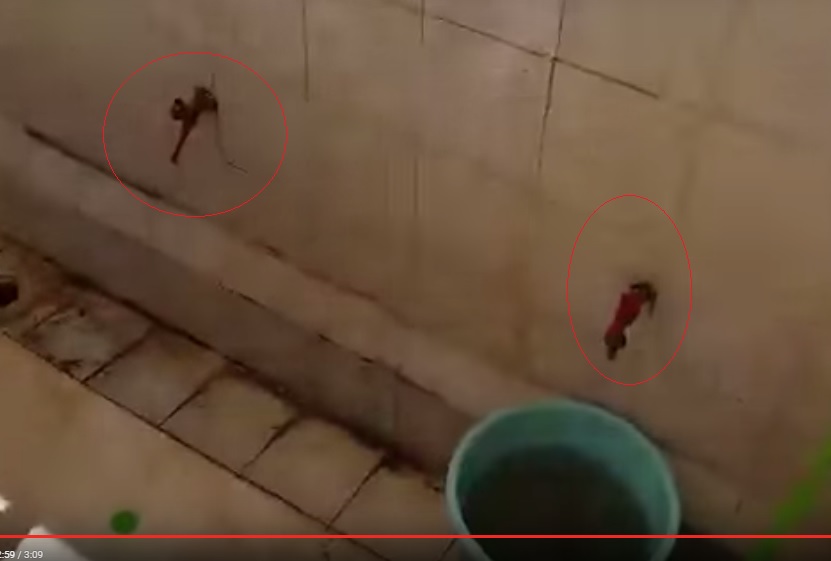 Reyadh.jpg Hosting at Sudaneseonline.com