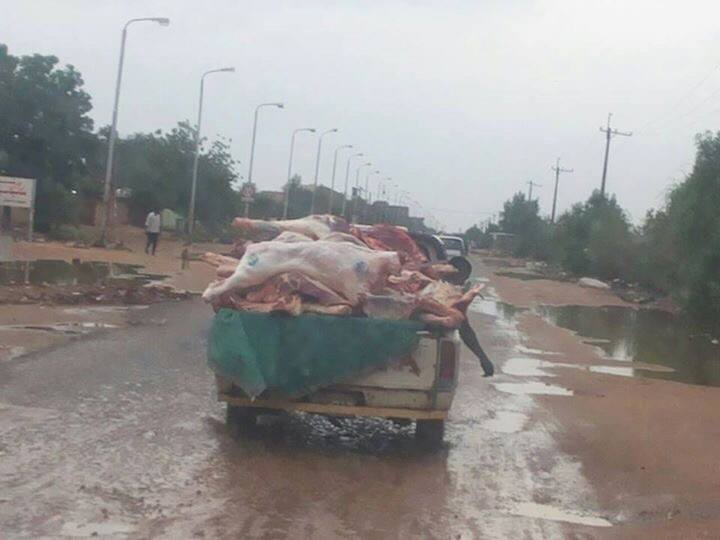 gpsudanl.jpg Hosting at Sudaneseonline.com