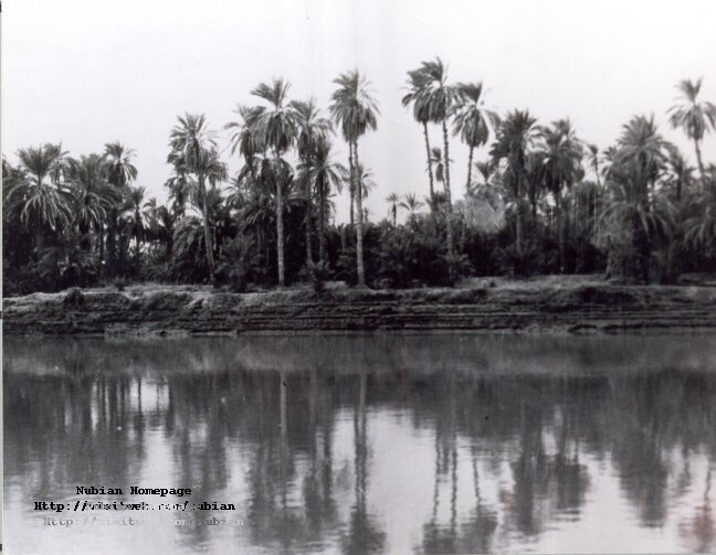 image2.jpg Hosting at Sudaneseonline.com