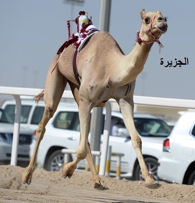 jazera.jpg Hosting at Sudaneseonline.com